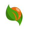 iwolonet-logo